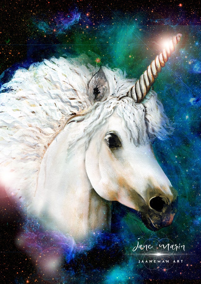 Animal Wisdom Downloads